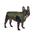thumbnail image 5 of Gap Pet, Dog Clothes Green Bomber Pet Jacket, 5 of 7