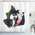 thumbnail image 1 of Boston Terrier Shower Curtain, Cheerful Happy Terrier Breed with Green Hat Rolling Around and Laughing, Fabric Bathroom Set with Hooks, 69W X 84L Inches Extra Long, Multicolor, by Ambesonne, 1 of 3