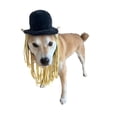 thumbnail image 2 of Sombrero de copa cómodo para perro con peluca de lana para XXS-XXL, 2 of 4