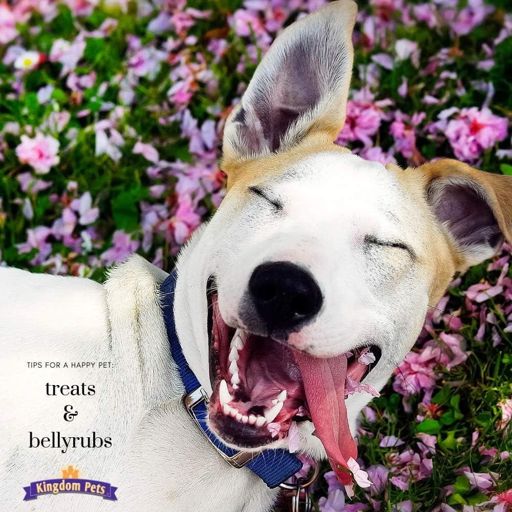 Kingdom Pets Chicken Jerky & Sweet Potato Dog Treats with Only 4 Ingredients and No Fillers, 3 Pound Bag