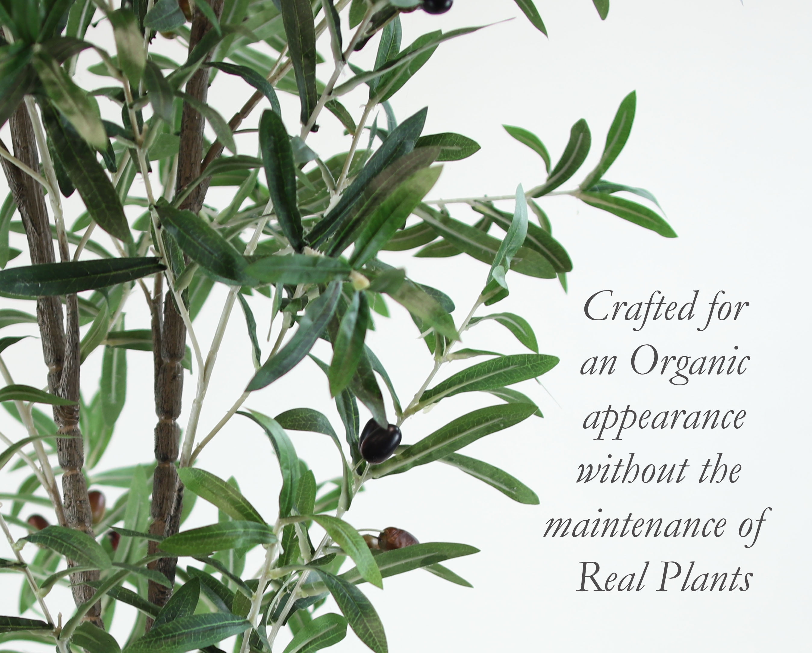 The Mod Greenhouse Faux Green Olive Tree in a Black Matte Planter Pot 72