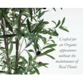 thumbnail image 4 of The Mod Greenhouse Faux Green Olive Tree in a Black Matte Planter Pot 72, 4 of 5