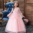thumbnail image 2 of TAIAOJING Little Girls Princess Dress Kids Toddler Baby Spring Summer Print Ruffle Sleeveless Show Lace Tulle Party Princess Dress Clothing 11-12 Years, 2 of 9