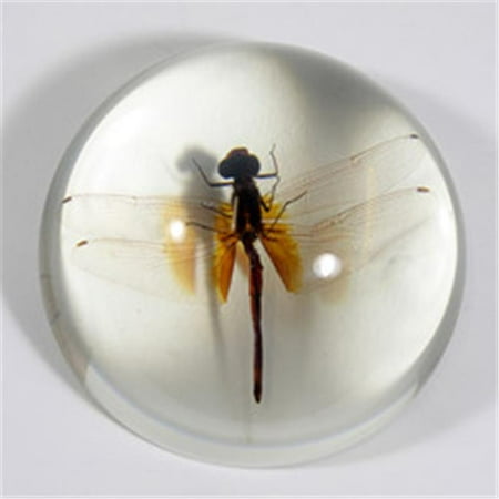 Ed Speldy East SS220 Dragonfly Dome - Clear