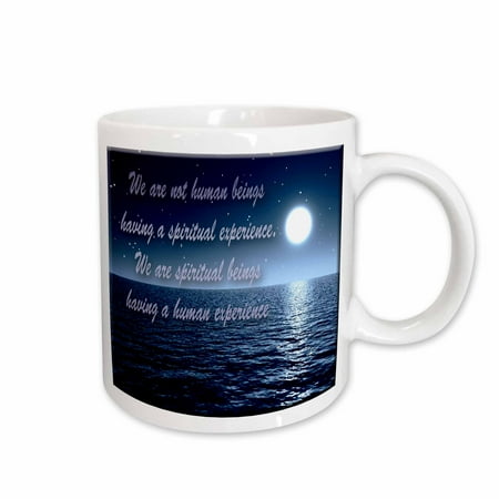

3dRose Moon reflections off the beach in deep blues Ceramic Mug 15-ounce