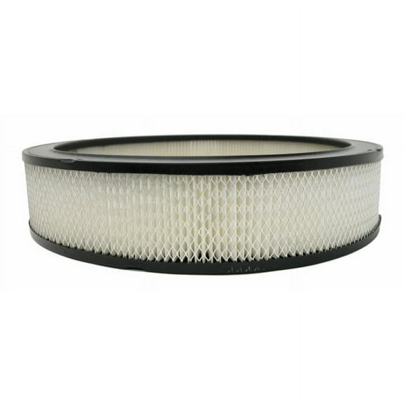 Professional Round Air Filter for Cadillac Eldorado 1979 AcDelco A212CW