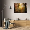 thumbnail image 3 of Alan Hausenflock 24x17 Gallery Wrapped Canvas Wall Art Titled - Sunset Through the Woods I, 3 of 4