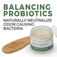 thumbnail image 4 of Living Well with Dr. Michelle Natural Probiotic Deodorant | Unscented for Men & Women | Aluminum-Free & Paraben-Free | Safe for Sensitive Skin, 4 of 8