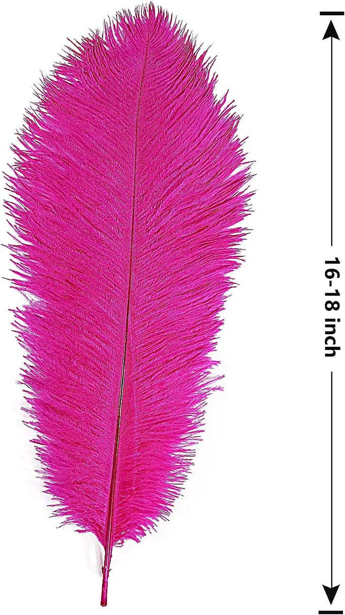 Xiao Hua 12pcs Fuchsia Ostrich Feathers Natural Bulk 16-18Inch 40cm-45cm for Wedding Party Centerpieces Easter Gatsby and Home Decorate Ostrich Feathers
