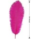 thumbnail image 2 of Xiao Hua 12 plumas de avestruz fucsias naturales a granel de 40 a 45 cm para centros de mesa de bodas, fiestas, Pascua, Gatsby y decoración del hogar., 2 of 5