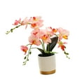 thumbnail image 2 of Flor Artificial de orquídeas de imitación, decoración realista, arreglo de flores, plantas en macetas, decoraciones de bonsái para dormitorio de boda Rosa, 2 of 8