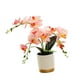 thumbnail image 3 of Flor Artificial de orquídeas de imitación, decoración realista, arreglo de flores, plantas en macetas, decoraciones de bonsái para dormitorio de boda , Rosa Macarena bonsais artificiales, 3 of 8