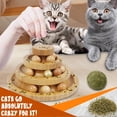 thumbnail image 4 of Pelota Cat Ball Track DoogCat con 9 bolas, tamaño grande, 4 of 7