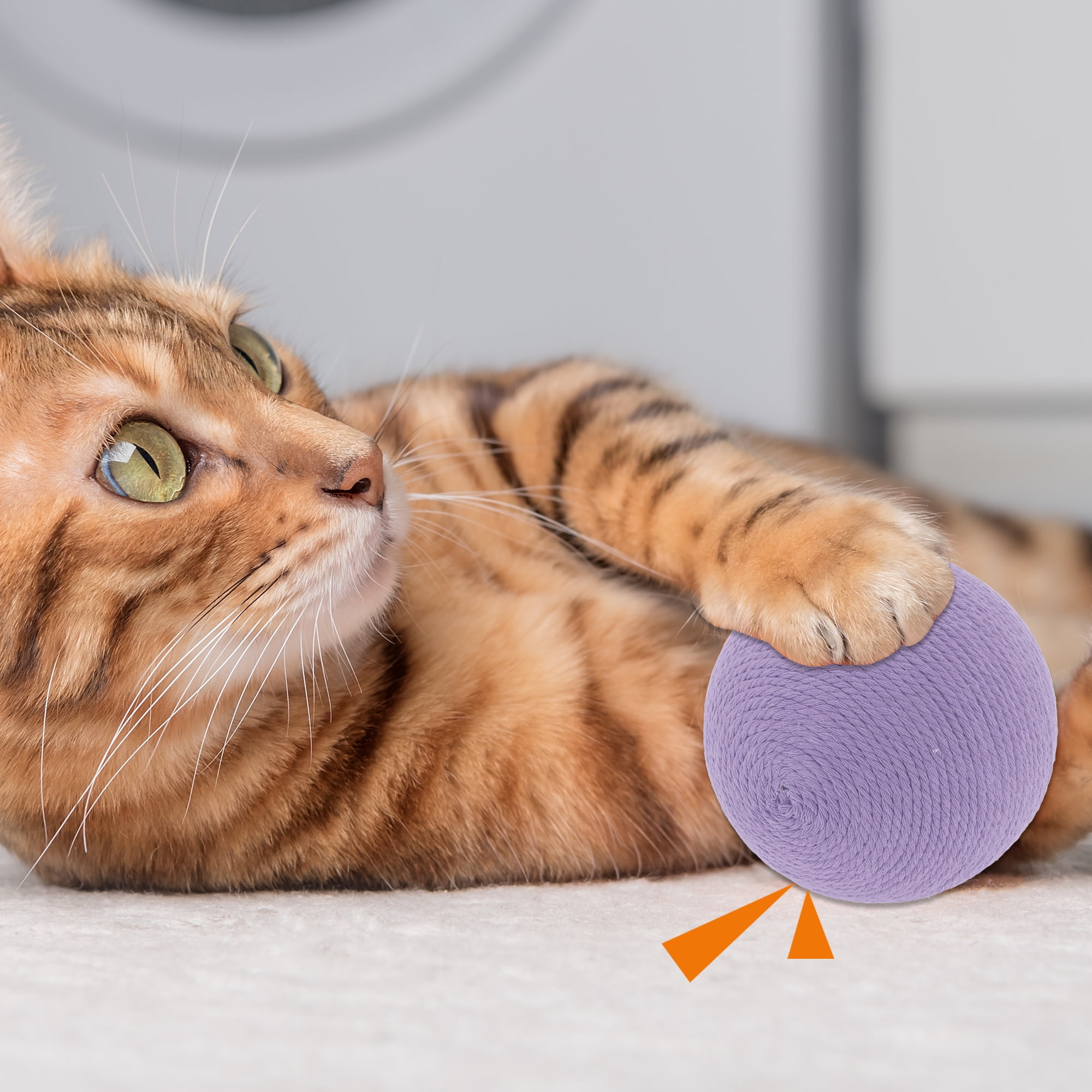 Unique Bargains Playing Ball with Bell for Cat Playtime Purple