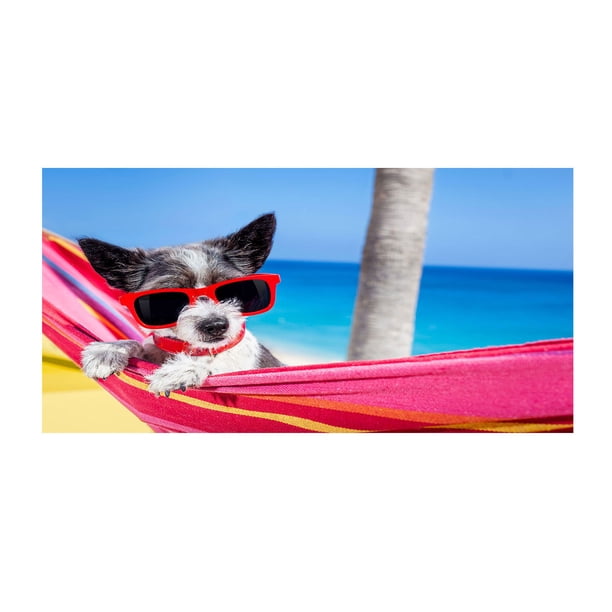 Piscinas de Perros para Perros Grandes Toalla de Playa Temática de Perro, Regalo de Bola de Toalla de Playa -30x60 Pulgadas Toalla de Playa Grande, Secado Rápido Absorbente de Peso Ligero Toalla de Pl