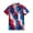 Wine, variant on Men's USA 250th Anniversary American Flag Stripe Polo Shirt Patriotic Casual Short Sleeve America 250 Merchandise