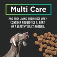 thumbnail image 5 of Veterinary Supplements Multi Care Canine Chew, Dog Supplement 300g, 5 of 5