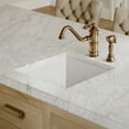 thumbnail image 5 of Whitehaus Whitehaus Collection Undermount/Drop-in Fireclay Kitchen Sinks, Stainless Steel Grid Included, 5 of 5