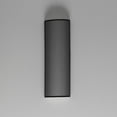 thumbnail image 5 of Maxim Lighting - Prime - 12W 1 LED Tall Wall Sconce In Transitional Style-18.25, 5 of 5