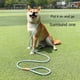 thumbnail image 4 of Correa para perros Correas para perros pequeños, medianos y grandes Collares para perros Arneses Correa para cachorros Correa duradera para mascotas Pitbull Cuerda de tracción explosiva, 4 of 5