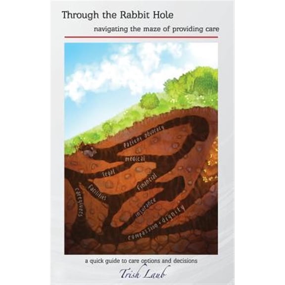 Pre-Owned Through the Rabbit Hole: navigating the maze of providing care (Paperback) 1732200629 9781732200623