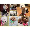 thumbnail image 4 of Ajustable Zapatos De Perro De Verano Impermeable Zapato Antideslizante Mascota Cachorro, 4 of 4
