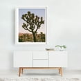 thumbnail image 2 of Joshua Tree Moon IX - Joshua Tree California Photography Desert Cactus Nature Landscape Scenic Moon Wilderness White Framed Wall Art Print 16 x 20 inches, 2 of 3