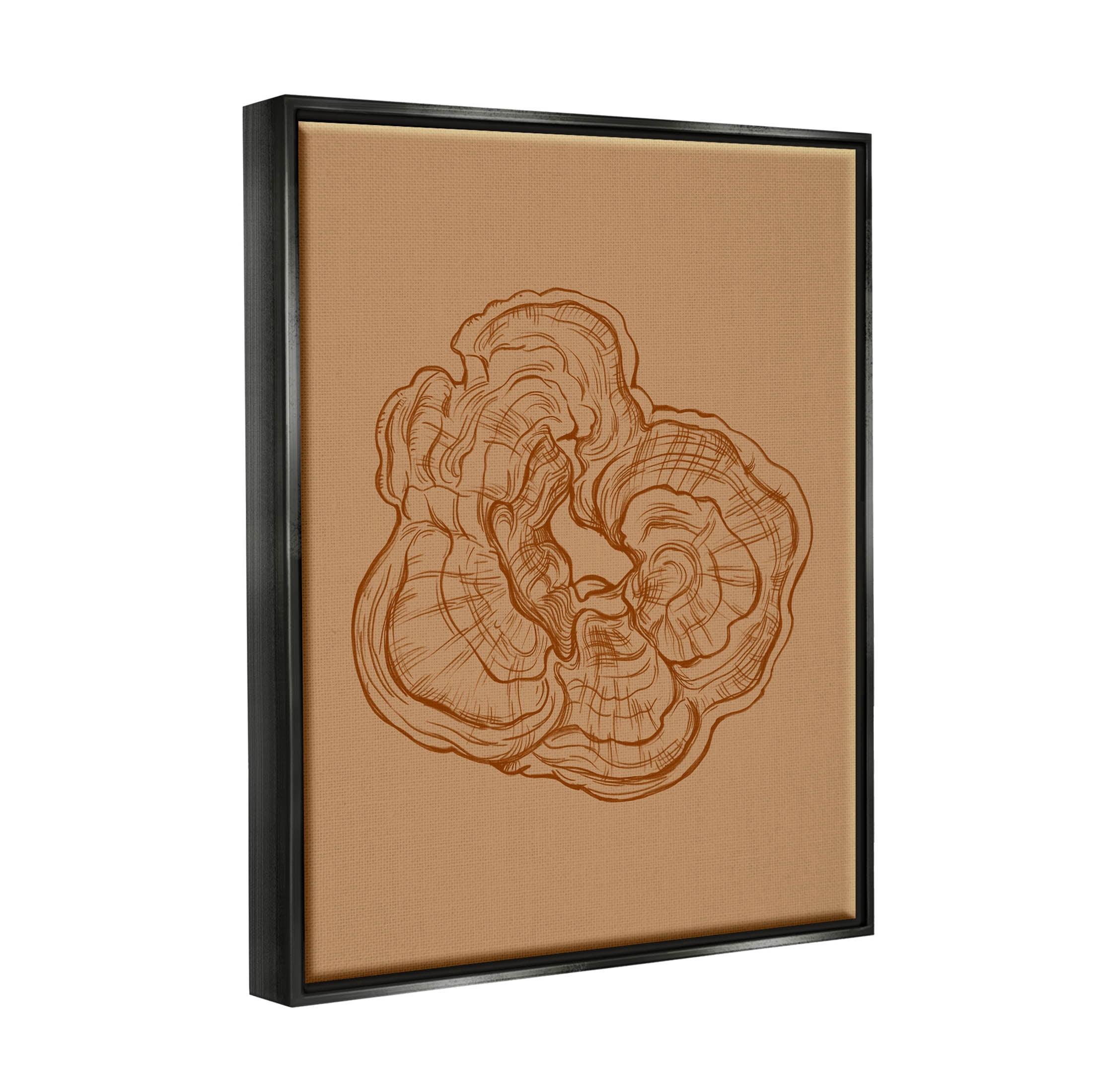 Stupell Industries Detailed Nature Botanical Fungus Graphic Art Jet Black Floating Framed Canvas Print Wall Art, Design by Ziwei Li