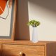 thumbnail image 4 of unbranded 12Ud Ramos Artificial De Con Tallo Para Interior Y Centros De, 4 of 6