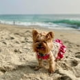 thumbnail image 2 of Dog Bikini Swimsuit,Summer Puppy Bathing Dress Beach Clothes for Puppy Dog Cat (XS, Floral), 2 of 5