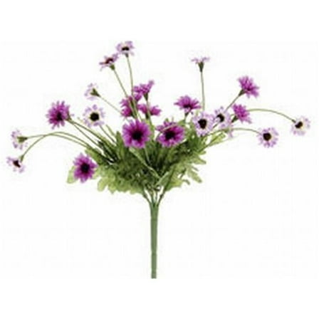 FBD515-PU-TT 10.5 in. Two Tone Purple Daisy Bushes X5- Case of 24