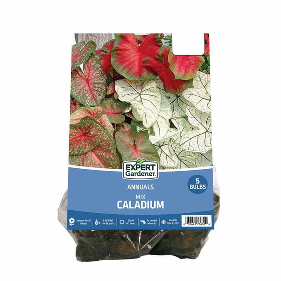 Expert Gardener Caladium Mix (Set of 5 Dormant Bulbs) Full Shade, Multi-Color, Annual