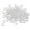 White, variant on 100PCS Clip snap Bird Leg Bands Parrot Finch Canary Grouped , , Green