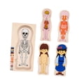 thumbnail image 3 of ZLight Unique Jigsaw Puzzles Toy Wooden Human Body Cognitive Development Fun Birthday Gift For Kids With Rounded Thanksgiving Girl 30x15x1.3cm, 3 of 6