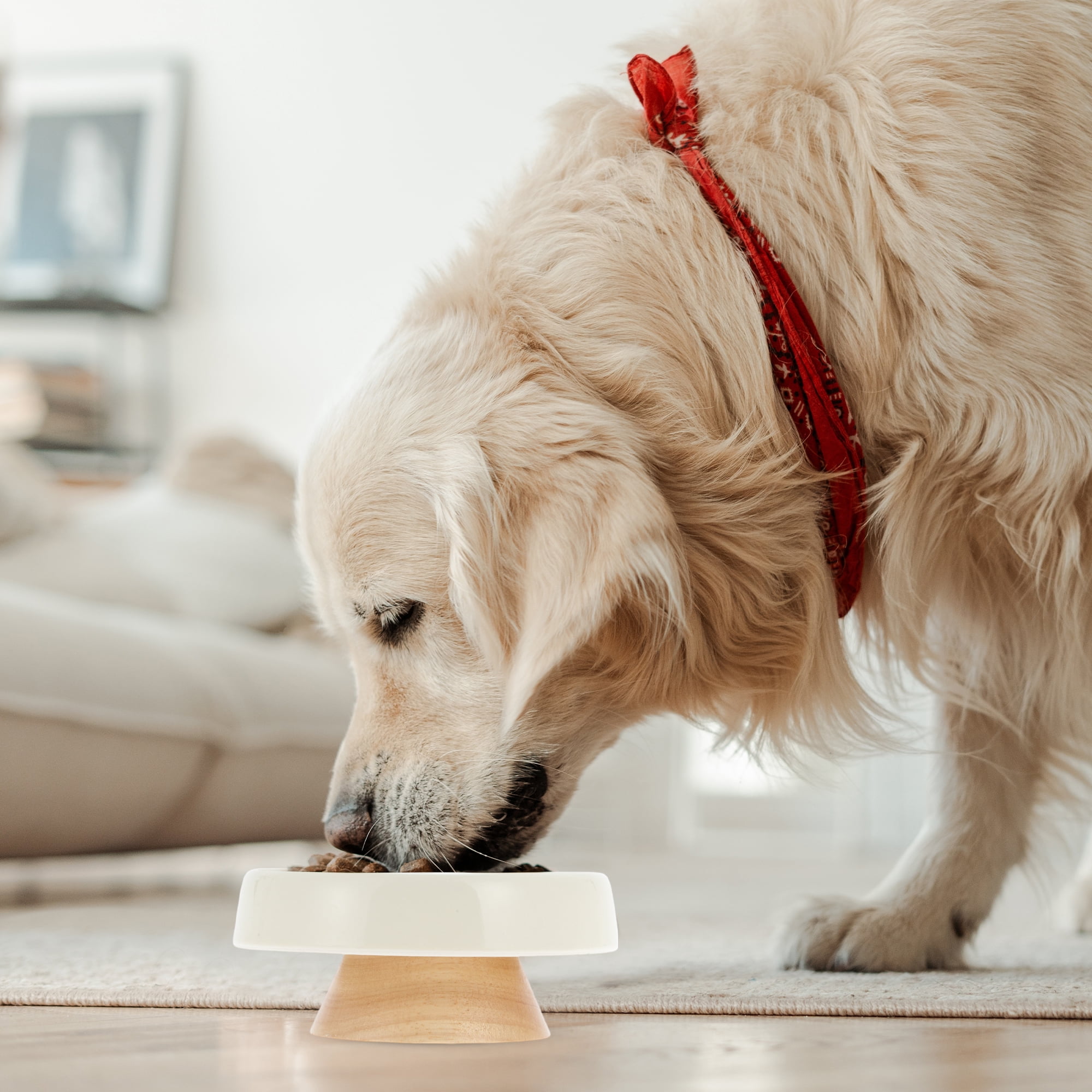 Unique Bargains Slow Feeder Dog Bowls with Wooden Base Apricot