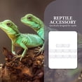 thumbnail image 4 of unbranded 10Ud Transparentes Para Reptiles En Acrílico Comedero Y Bebedero, 4 of 8