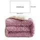 thumbnail image 3 of Manta de piel de cordero suave de doble capa para adultos, cómoda para usar en sofá o cama, lavable, ligera y cálida, ideal para todas las estaciones., 3 of 6