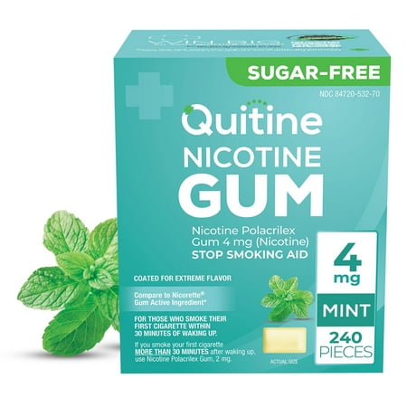 Quitine Nicotine Gum 4mg Mint, 240 Count, Stop Smoking Aid