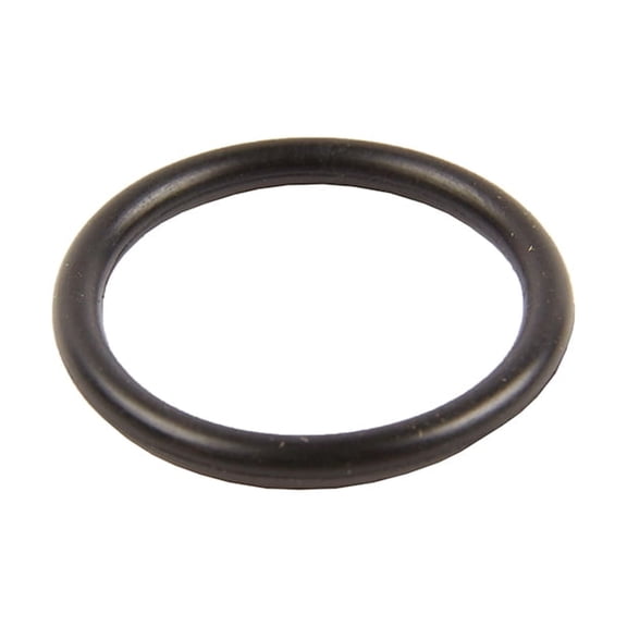 GM Genuine Parts 19132944 Transfer Case Intermediate Drive Shaft Seal (O-Ring)