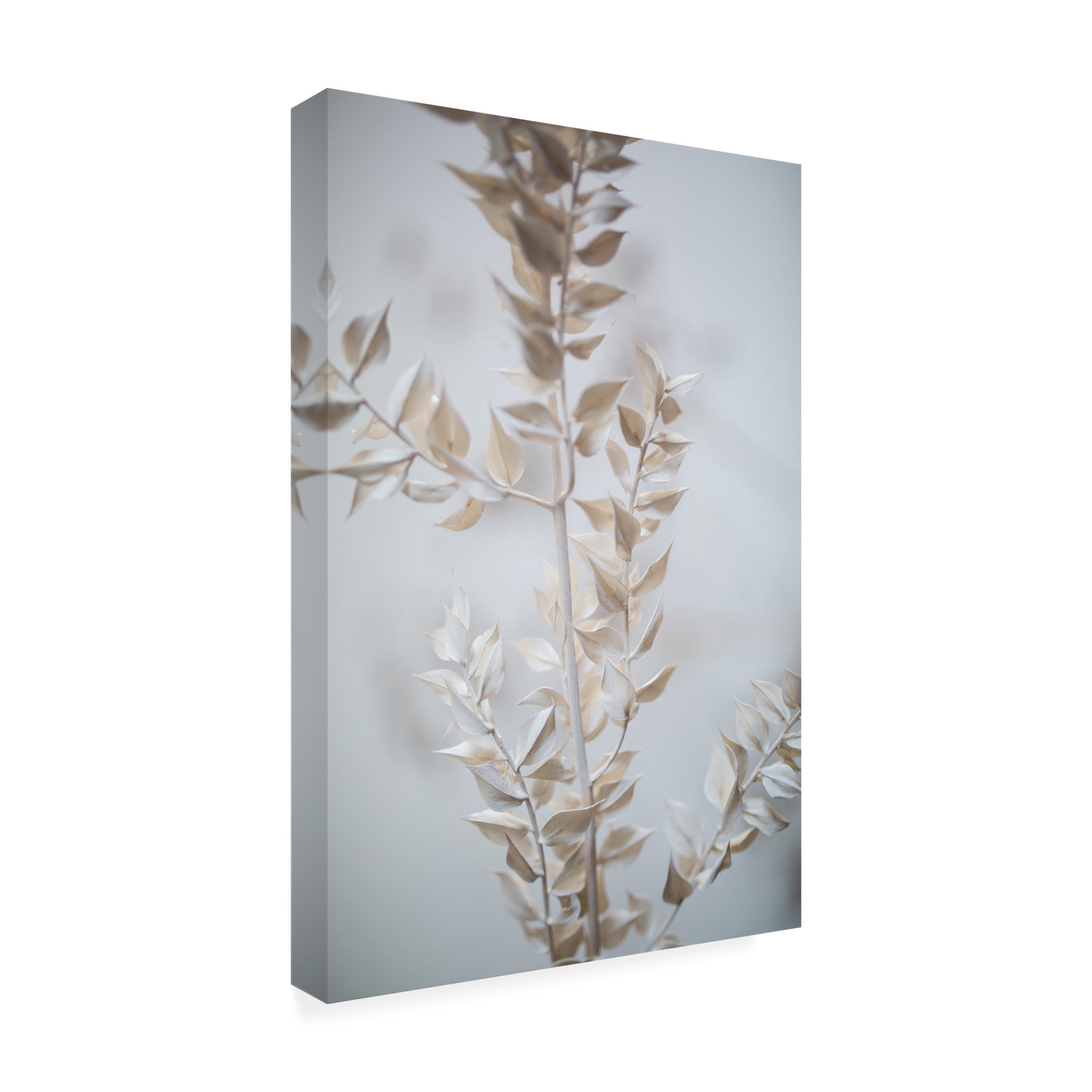 Trademark Fine Art Mareike Bohmer  Last Summer 7 Canvas Wall Art