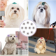thumbnail image 5 of Lazo de pelo de perro cachorro de Navidad para mascotas con banda de goma lazo curvo pétalo flor vacaciones perro accesorios combinación regalo Adepaton CPB-DE-LYY2140-4, 5 of 5
