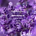 thumbnail image 4 of MMCD PISO Starter Kit Lavender, 4 of 5