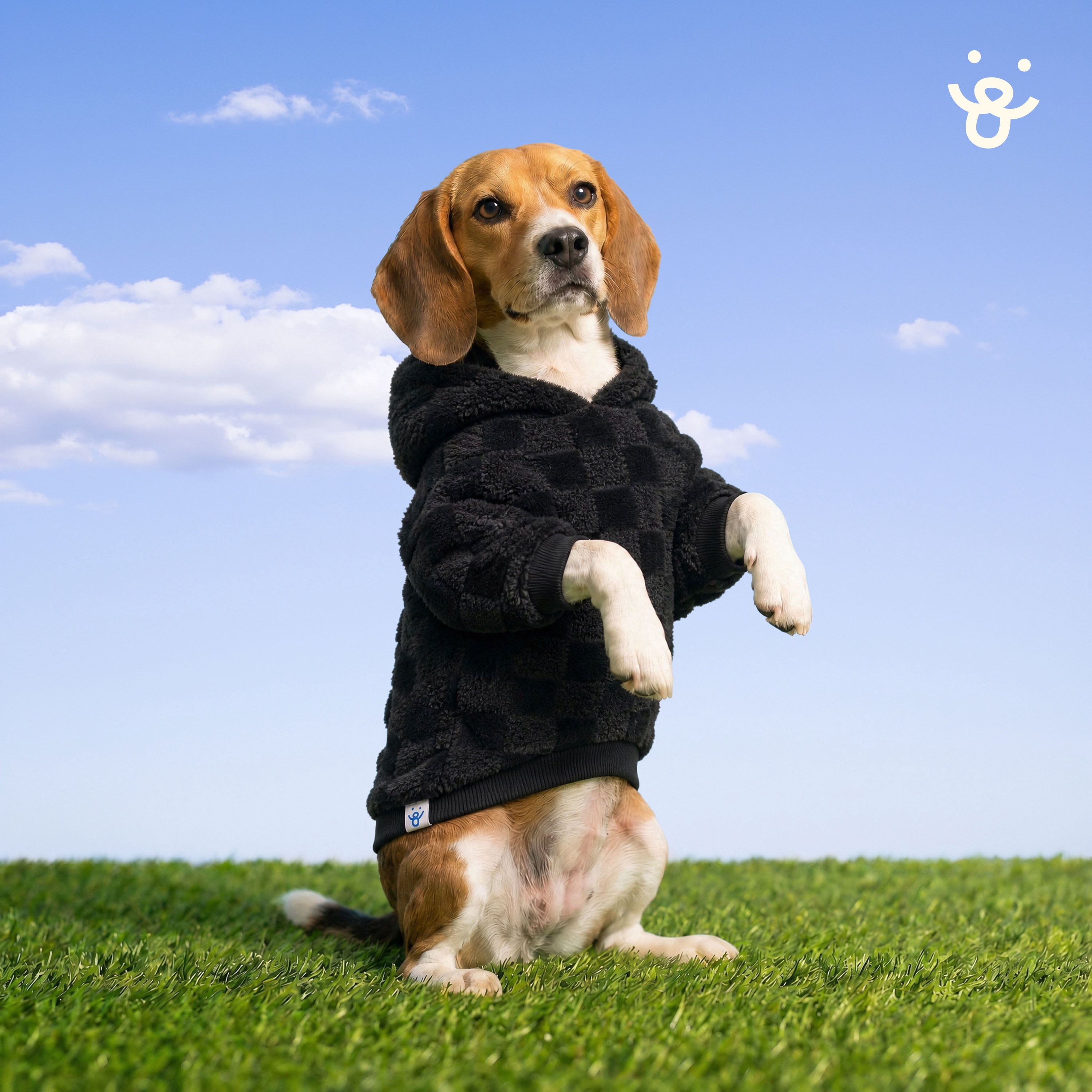 Oodles Checkerboard Fall Sherpa Dog Hoodie, Black, XS