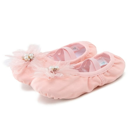 

LYCAQL Kid Shoes Dance Shoes Dancing Ballet Performance Indoor Pearl Flower Yoga Practice Dance Size 2 Girls Running Shoes (Pink 1 Big Kids)