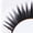 THICK, variant on SHANY Eyelash extend - set of 10 assorted reusable eyelashes - Thin Collection