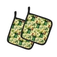 thumbnail image 1 of Carolines Treasures BB7559PTHD Aquarelle St Patricks Fête Paire de Porte-Pots, 1 of 1
