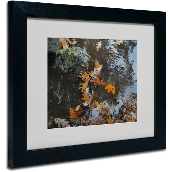 Trademark Fine Art "Buoyant" by Monica Fleet, Black Frame