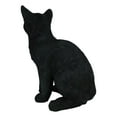 thumbnail image 5 of Ebros Large Lifelike Pawing Mystical Black Cat Statue 11.75"H with Glass Eyes, 5 of 10