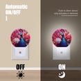 thumbnail image 4 of Night Light Plug into Wall,Dusk to Dawn Sensor Auto-On/Off for Bathroom, Hallway,Kids Room-Elegant Peacock With Feathers Spread Wide, 4 of 4