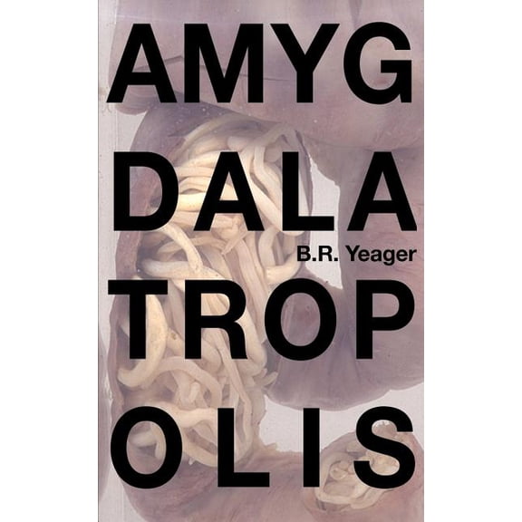 Amygdalatropolis, (Paperback)